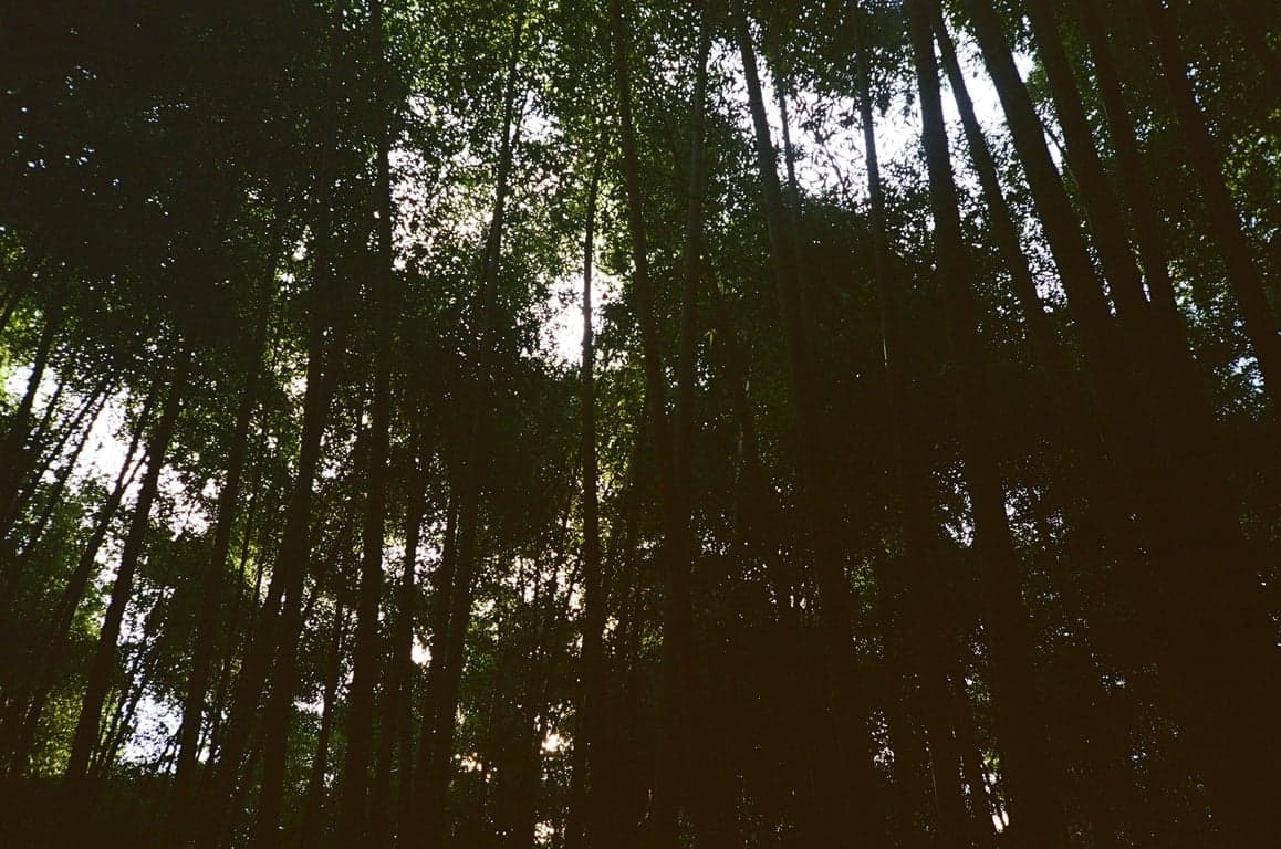 Kyoto, Japan