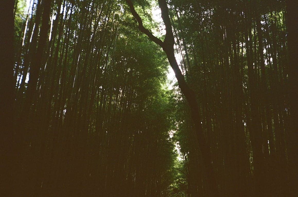 Kyoto, Japan